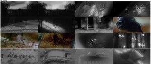 دانلود انیمیشن In Absentia 2000