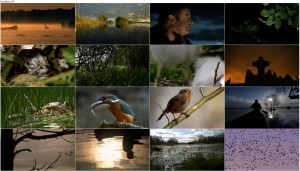 دانلود دوبله فارسی مستند رودخانه وحشی ایرلند