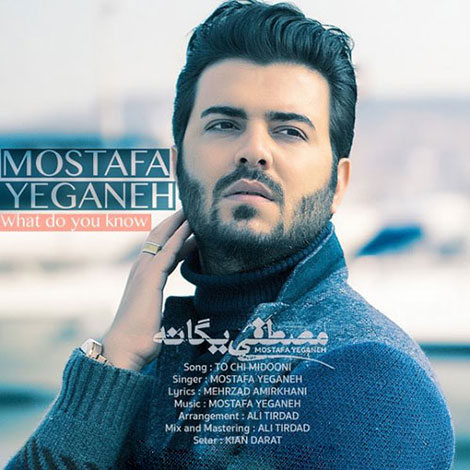 دانلود آهنگ جدید مصطفی یگانه به نام تو چی میدونی