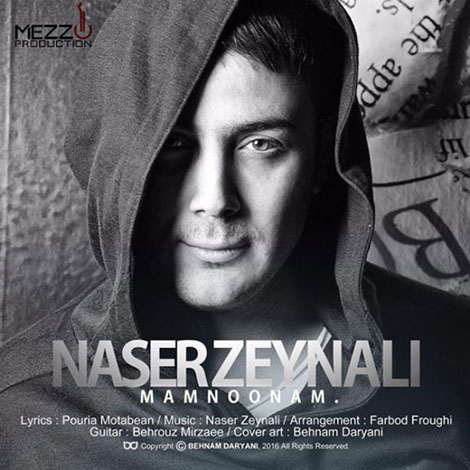 دانلود آهنگ جدید ناصر زینعلی به نام ممنونم