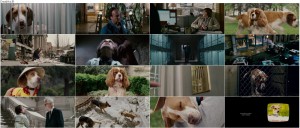 دانلود دوبله فارسی فیلم آندرداگ Underdog 2007 دانلود فیلم آندرداگ با دوبله فارسی Underdog 2007