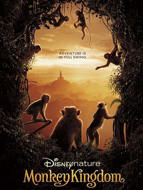 دانلود دوبله فارسی مستند قلمرو میمون ها Monkey Kingdom 2015 دانلود دوبله فارسی مستند قلمرو میمون ها Monkey Kingdom 2015