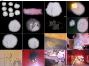 دانلود انیمیشن یک روز زیبا It's Such a Beautiful Day 2012