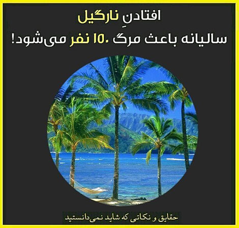 دانستنی های جالب, آیا میدانید, آیا می دانستید, نکته های علمی, آموزه های علم و فناوری, حقایق خواندنی, نکات تصویری, عکس های آموزشی, مقالات جذاب, جدیدترین دانستنیها