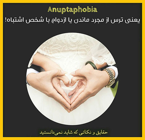 دانستنی های جالب, آیا میدانید, آیا می دانستید, نکته های علمی, آموزه های علم و فناوری, حقایق خواندنی, نکات تصویری, عکس های آموزشی, مقالات جذاب, جدیدترین دانستنیها