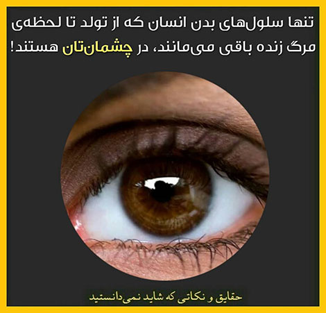 دانستنی های جالب, آیا میدانید, آیا می دانستید, نکته های علمی, آموزه های علم و فناوری, حقایق خواندنی, نکات تصویری, عکس های آموزشی, مقالات جذاب, جدیدترین دانستنیها