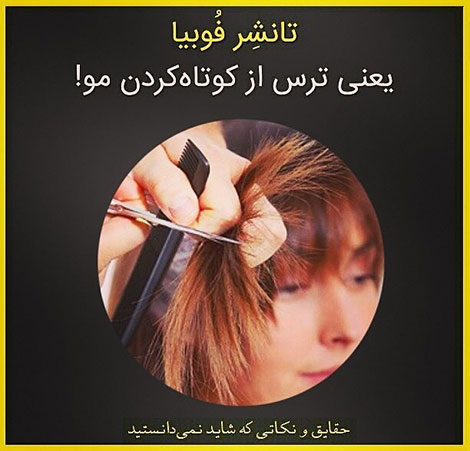 دانستنی های جالب, آیا میدانید, آیا می دانستید, نکته های علمی, آموزه های علم و فناوری, حقایق خواندنی, نکات تصویری, عکس های آموزشی, مقالات جذاب, جدیدترین دانستنیها