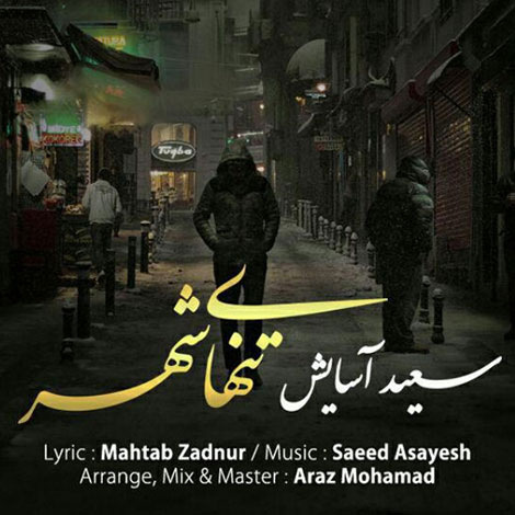 دانلود آهنگ جدید سعید آسایش به نام تنهای شهر