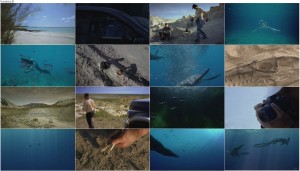 دانلود دوبله فارسی مستند Sea Monsters A Prehistoric Adventure 2007