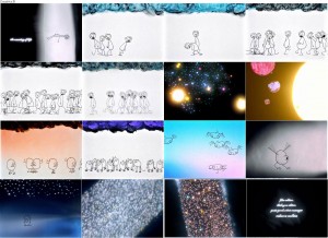 دانلود انیمیشن The Meaning of Life 2005