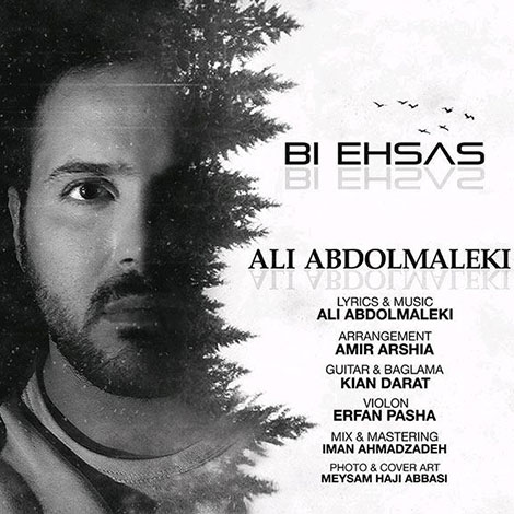 دانلود آهنگ جدید علی عبدالمالکی به نام بی احساس