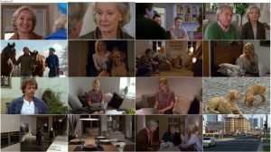 دانلود دوبله فارسی فیلم Die geerbte Familie 2011 دانلود فیلم خانواده موروثی با دوبله فارسی