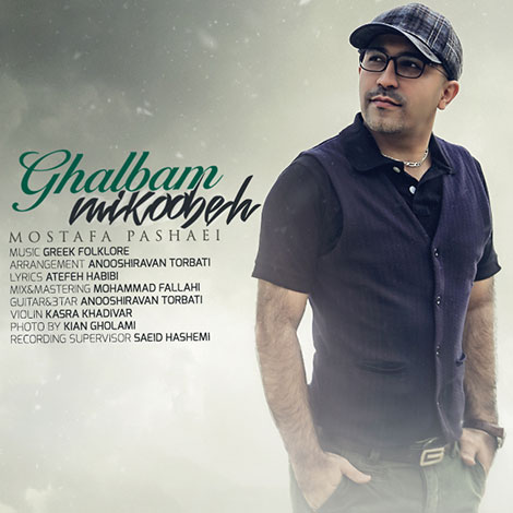 دانلود آهنگ جدید مصطفی پاشایی به نام قلبم می کوبه