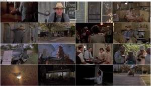 دانلود دوبله فارسی فیلم Places in the Heart 1984 دانلود فیلم جایی در قلب من با دوبله فارسی