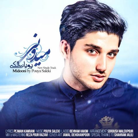 دانلود آهنگ جدید پویا سالکی به نام میدونی