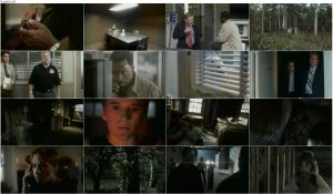 دانلود فیلم کمین با دوبله فارسی