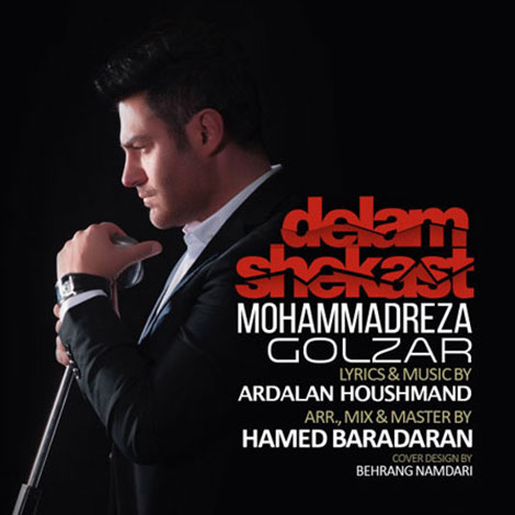 دانلود آهنگ جدید محمدرضا گلزار به نام دلم شکست