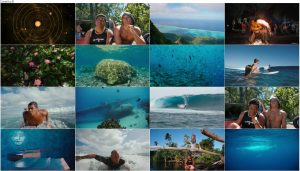 The Ultimate Wave Tahiti 2010