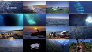 دانلود مستند حیات وحش اقیانوس IMAX: Wild Ocean 2008 IMAX: Wild Ocean 2008