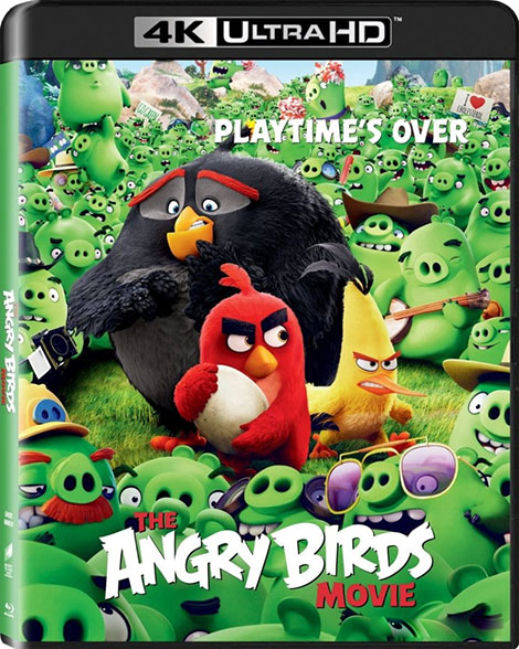 دانلود دوبله فارسی انیمیشن Angry Birds 2016