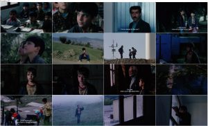 دانلود رایگان فیلم بید و باد با لینک مستقیم