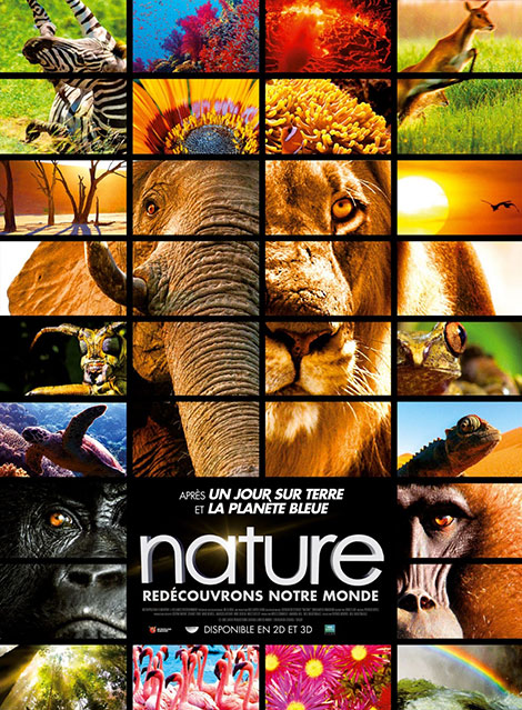 دانلود دوبله فارسی مستند Enchanted Kingdom 2014 دانلود دوبله فارسی مستند Enchanted Kingdom 2014