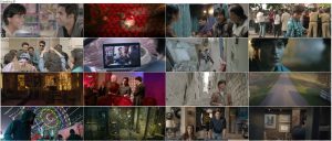 دانلود دوبله فارسی فیلم طرفدار Fan 2016