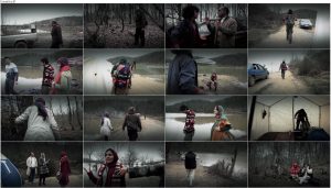 دانلود فیلم ماهی و گربه با کیفیت DVDRip, دانلود رایگان فیلم ماهی و گربه, دانلود مستقیم فیلم ماهی و گربه