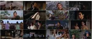 دانلود دوبله فارسی فیلم One-Armed Swordsman 1967 دانلود دوبله فارسی فیلم One-Armed Swordsman 1967