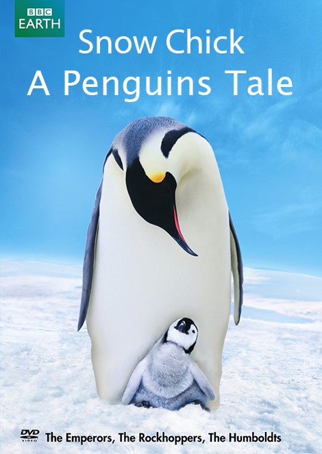 دانلود مستند Snow Chick: A Penguins Tale 2015 دانلود مستند Snow Chick: A Penguins Tale 2015