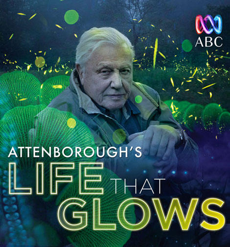 دانلود مستند Attenborough's Life That Glows 2016