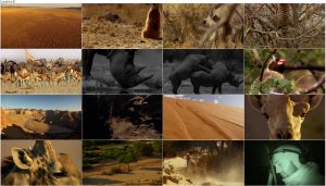 BBC Africa 2013 E01 Kalahari