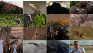 BBC Africa 2013 E02 Savana