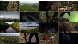 BBC Africa 2013 E03 Congo