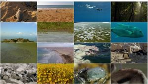 BBC Africa 2013 E04 Cape