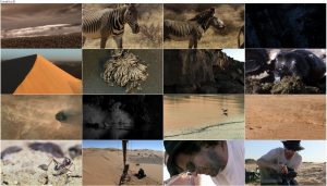 BBC Africa 2013 E05 Sahara
