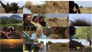 BBC Africa 2013 E06 The Future