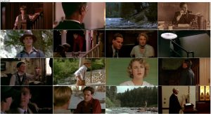 دانلود دوبله فارسی فیلم A River Runs Through It 1992