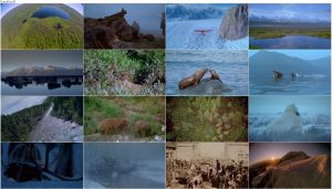 دانلود مستند روح وحشی آلاسکا Alaska: Spirit of the Wild 1997