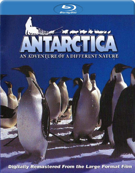 دانلود مستند جنوبگان Antarctica 1991