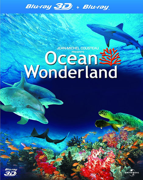 دانلود مستند اقیانوس شگفت انگیز Ocean Wonderland 2003 دانلود مستند اقیانوس شگفت انگیز Ocean Wonderland 2003
