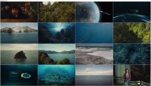 دانلود مستند Sea Rex: Journey to a Prehistoric World 2010 Sea Rex: Journey to a Prehistoric World 2010