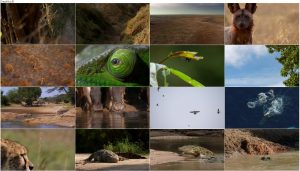 دانلود مستند شکار قسمت اول The Hardest Challenge