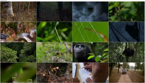 دانلود مستند شکار قسمت سوم Hide and Seek