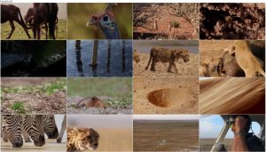 دانلود مستند شکار قسمت پنجم Nowhere to Hide