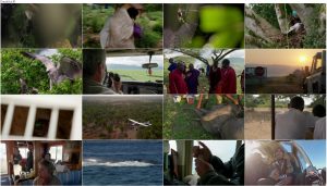 دانلود مستند شکار قسمت هفتم Living with Predators