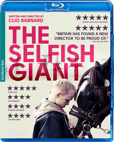 دانلود دوبله فارسی فیلم خودخواهی The Selfish Giant 2013