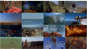 دانلود مستند سفرهای شگفت انگیز Amazing Journeys 1999