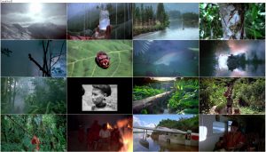 دانلود مستند آمازون IMAX - Amazon 1997