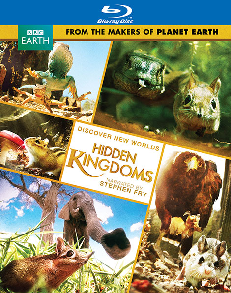 دانلود دوبله فارسی مستند BBC: Hidden Kingdoms 2014